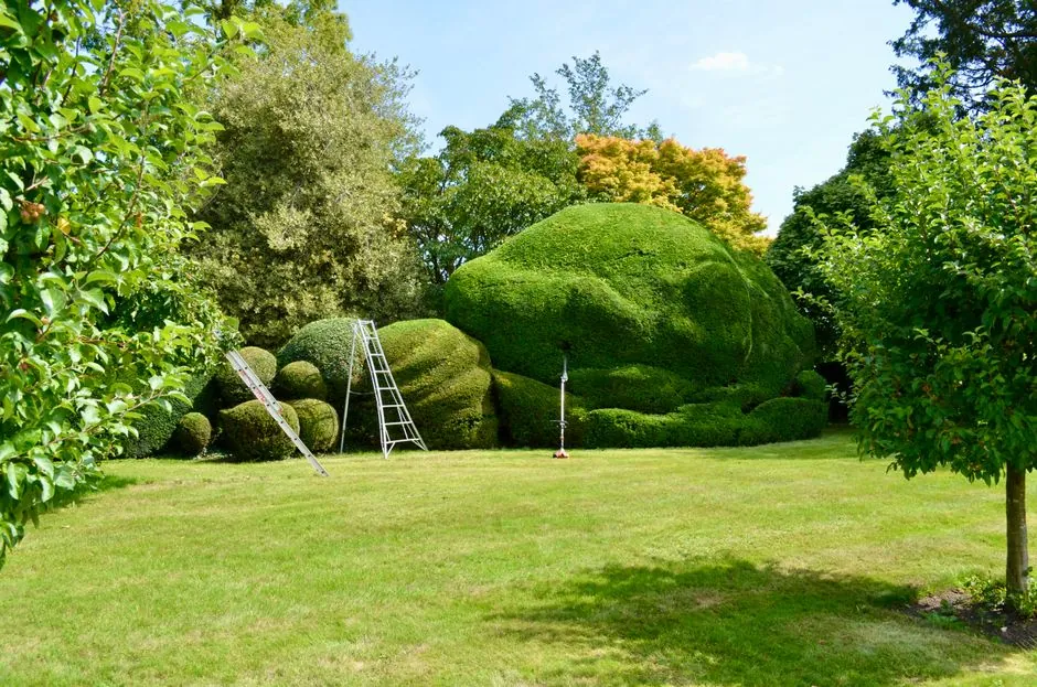 Jardin entretenu à Chambéry