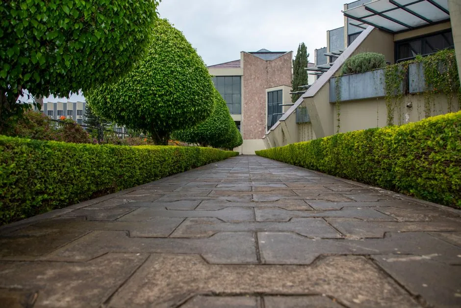 Jardin entretenu à Chambéry par Branché Jardin